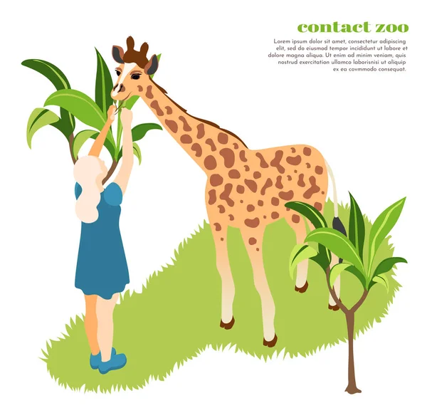 Contact Zoo Samenstelling — Stockvector