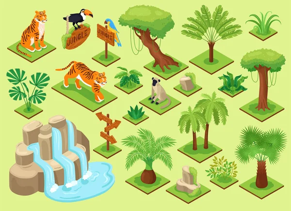 Selva Plantas Animales Set — Vector de stock