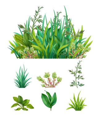 Gerçekçi Bitkiler Ayarlandı 