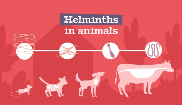 Helminths Animals Flat Banner — Stock Vector