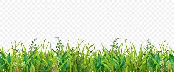 Realistic Grass Transparent Border — Stock Vector