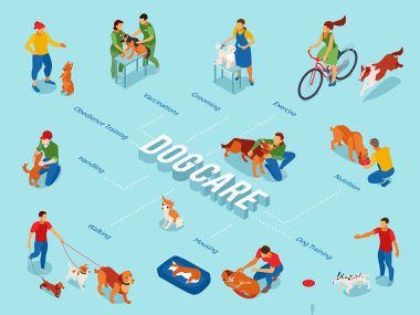 Köpek Bakımı Isometric Akış Çizelgesi 