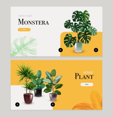 Ev Bitkileri Gerçekçi Yatay Pankartlar