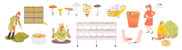 Cogumelos conjunto ícone plana — Vetor de Stock