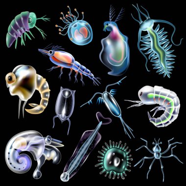 Plankton Set On Black Background clipart