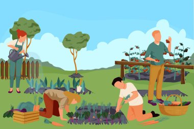 Organik Bahçe Kompozisyonu