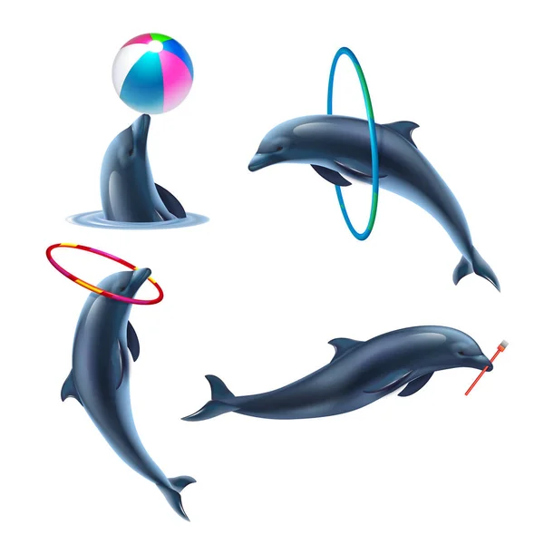 Conjunto de iconos realistas de Dolphin Circus — Vector de stock