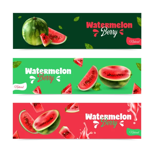 Wassermelone Berry Horizontale Banner — Stockvektor