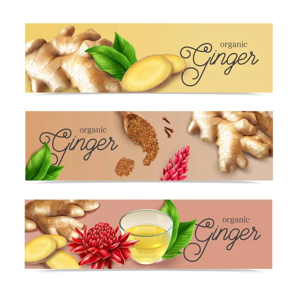 Ginger Realistic Banners — Stock Vector