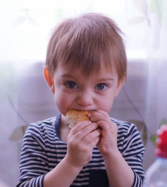 İki yaşında bir bebeğin bir parça ekmeği ısırmasının yakın çekimi.