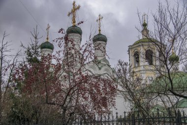 Elma. Tapınağın arka planında, günaha teşvik meyvesi..