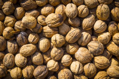 arka plan birçok ceviz, sağlıklı gıda 