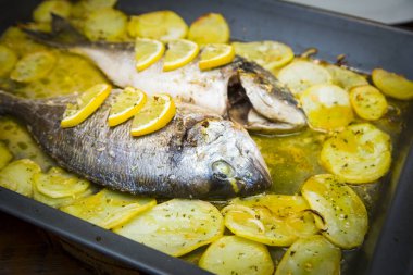 Limon ve patates fırında tepsi altın balık ızgara. Akdeniz deniz ürünleri