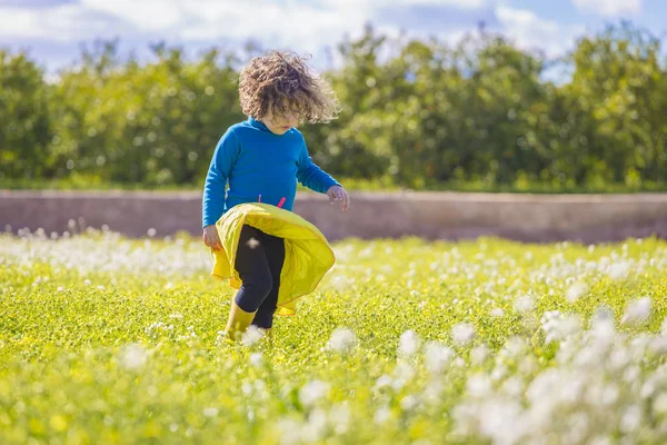 little beautiful girl in yellow skirt and blue sweatshirt running on a green field on sunny day