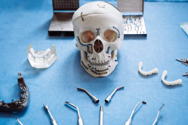 Plastmodell av skallen för stomatologi och käkkirurgi. — Stockfoto