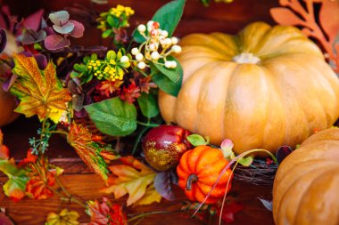 Çeşitli ham kabaklar.