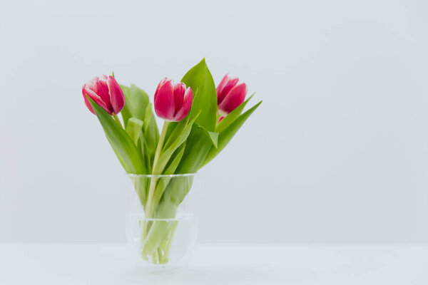 Букет розовых тюльпанов в прозрачной стеклянной вазе на белом фоне
. 