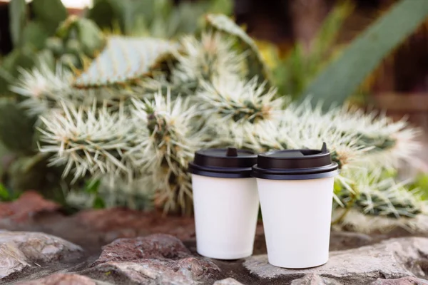 Dos Tazas Café Para Llevar Tazas Papel Blanco Las Piedras —  Fotos de Stock