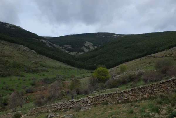 Bulutlu Gökyüzü Güzel Yeşil Beyaz Mavi Tonlarıyla Dağ Manzarası — Stok fotoğraf