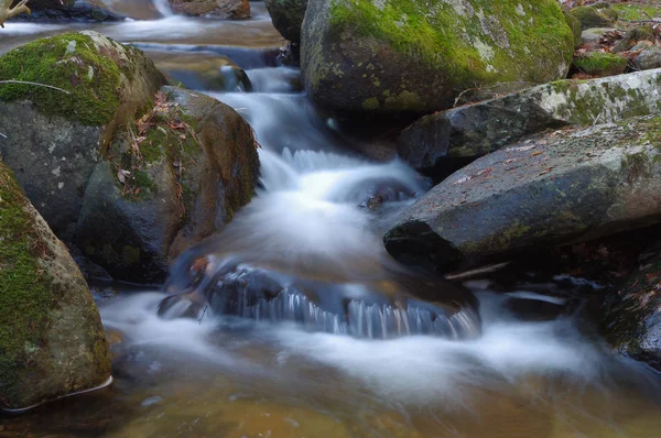 西班牙马德里Lozoya山谷 水带着干叶的毛毯飘落在河流上 免版税图库照片