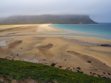İzlanda 'nın batı fiyortlarındaki altın kumlu plaj.
