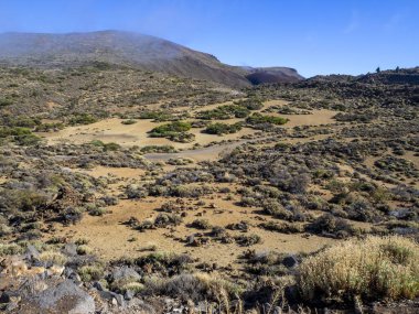 Teide Ulusal Parkı 'ndaki manzara, Tenerife, Kanarya Adaları
