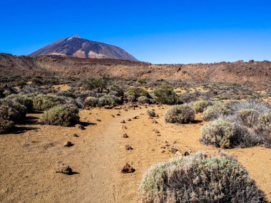 Teide Ulusal Parkı 'nda Tenerife Yanardağı manzaralı bir patika.