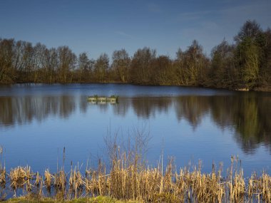 Kuzey Mağara Bataklıkları 'ndaki yansımalar, Doğu Yorkshire, İngiltere