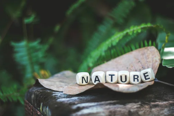 Wooden Cube Written Nature Leaf — Stock Photo, Image