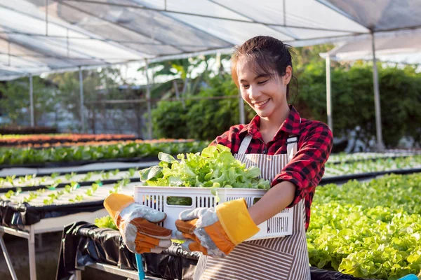 Genç çiftçi kadın elinde bir sepet sebze tutuyor..
