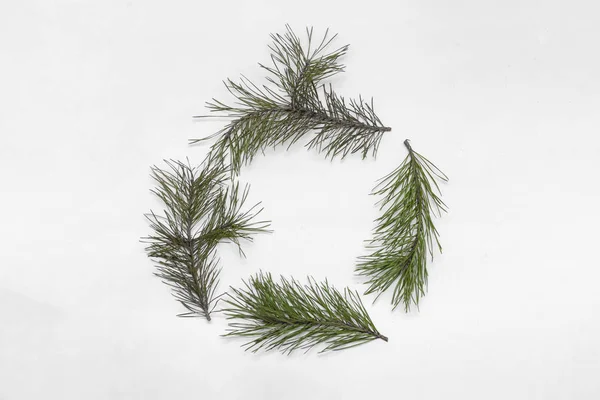 Pine bakgrund för jul — Stockfoto