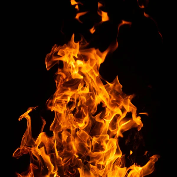 Feuer auf schwarzem Hintergrund. — Stockfoto