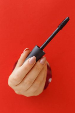 Çeşitli kadın makyaj malzemeleriyle çeşitli yüz fırçaları. Düz uzanmış güzellik arkaplanı.