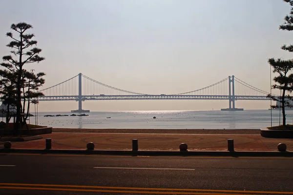 Пляж і міст Пусан у Південній Кореї. — стокове фото