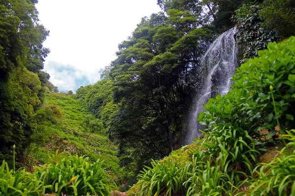 Impressing waterfall in the green nature of Azores islands — Stock Photo, Image
