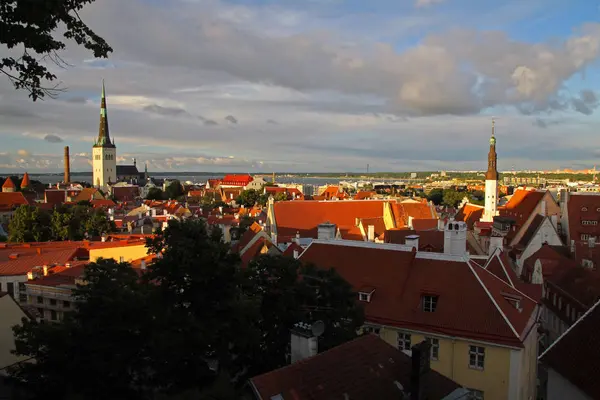 Centro storico medievale Tallinn skyline al tramonto — Foto Stock