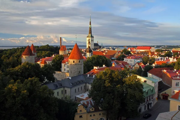 Downtown historical medieval Tallinn skyline at sunset — Stock Photo, Image