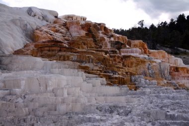 Yellowstone Ulusal Parkı 'nda Mamut Kaplıcaları