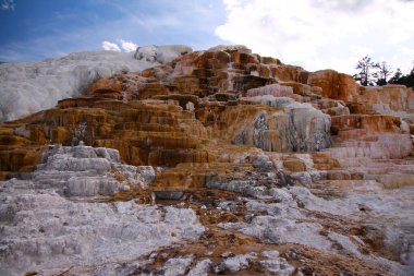 Yellowstone 'un Mamut Kaplıcalarına yakın