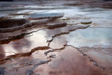 Yellowstone 'un hiç bitmeyen ölü toprakları