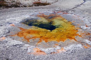 Yellowstone Ulusal Parkı 'nda turuncu bahar havzaları