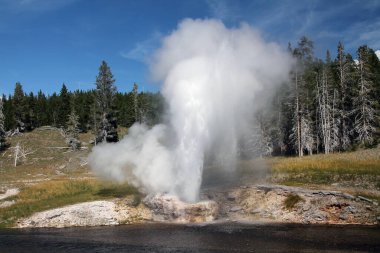 Yellowstone 'da Büyük Gayzer patlaması