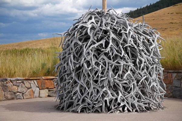 Ulusal Bison Sıradağları 'nda boynuz yığını