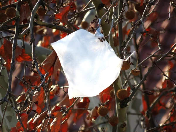 Ağaçtaki plastik torba.