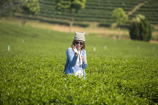 Traveler enjoying in the tea plantation. — Stock Photo, Image