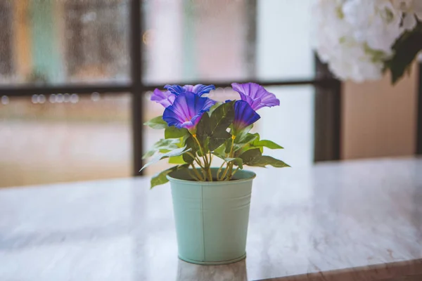 Un pot de fleurs derrière une fenêtre est la pluie — Photo