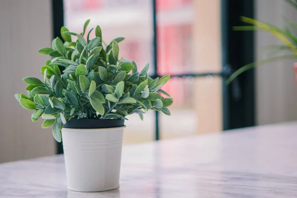 Un pot de fleurs derrière une fenêtre est la pluie — Photo