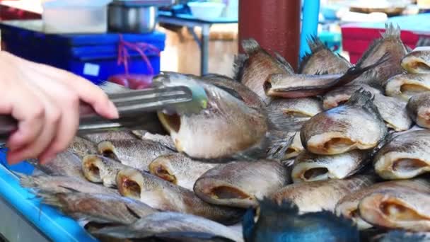 타이의 시장인 노점상에서 밖에서 생선을 — 비디오