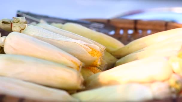 Street Thai Food Boiled Corn Cob — Stock Video