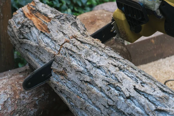 Close-up of chainsaw sawing a large log, harvesting firewood. — Stock Photo, Image